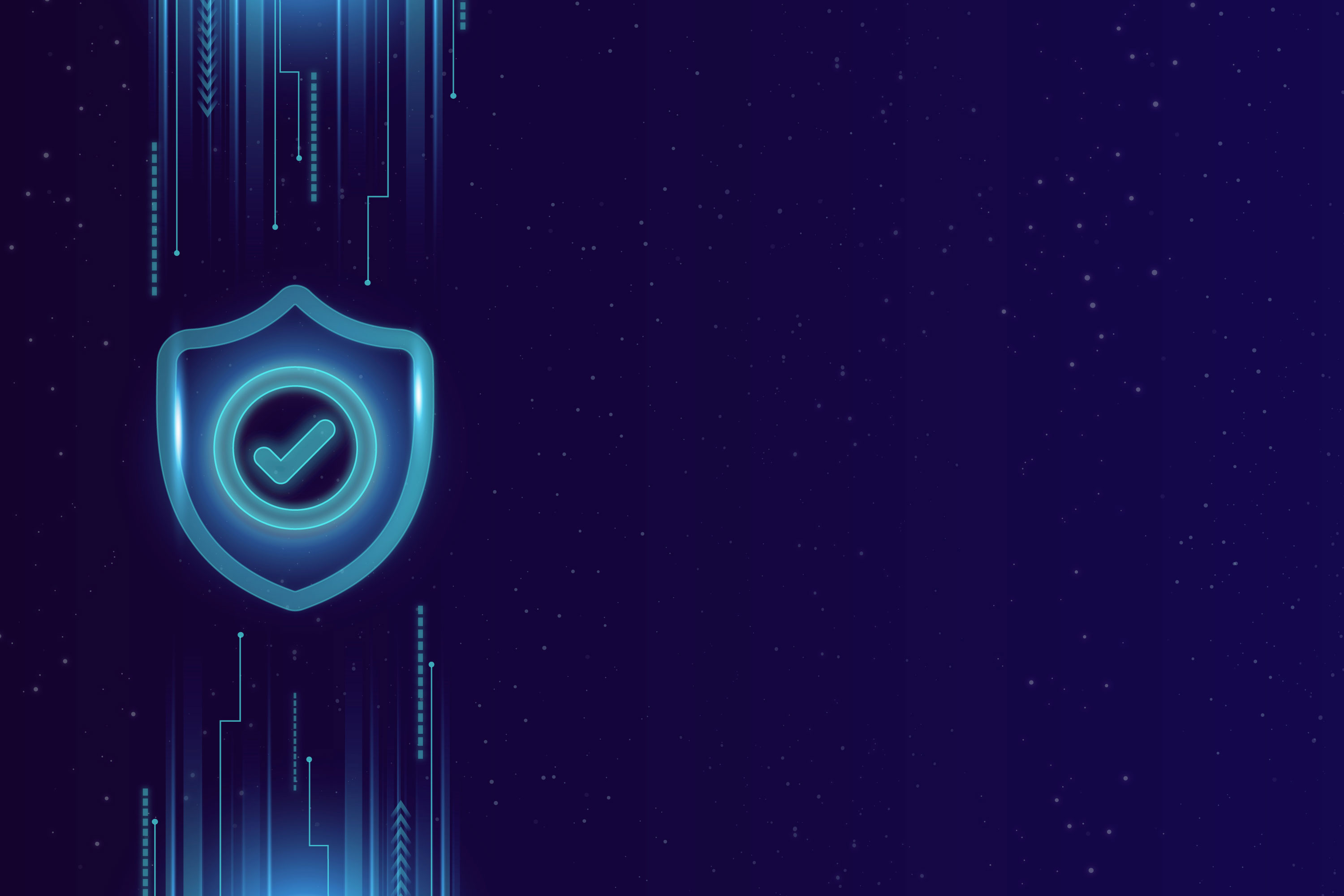 VPN